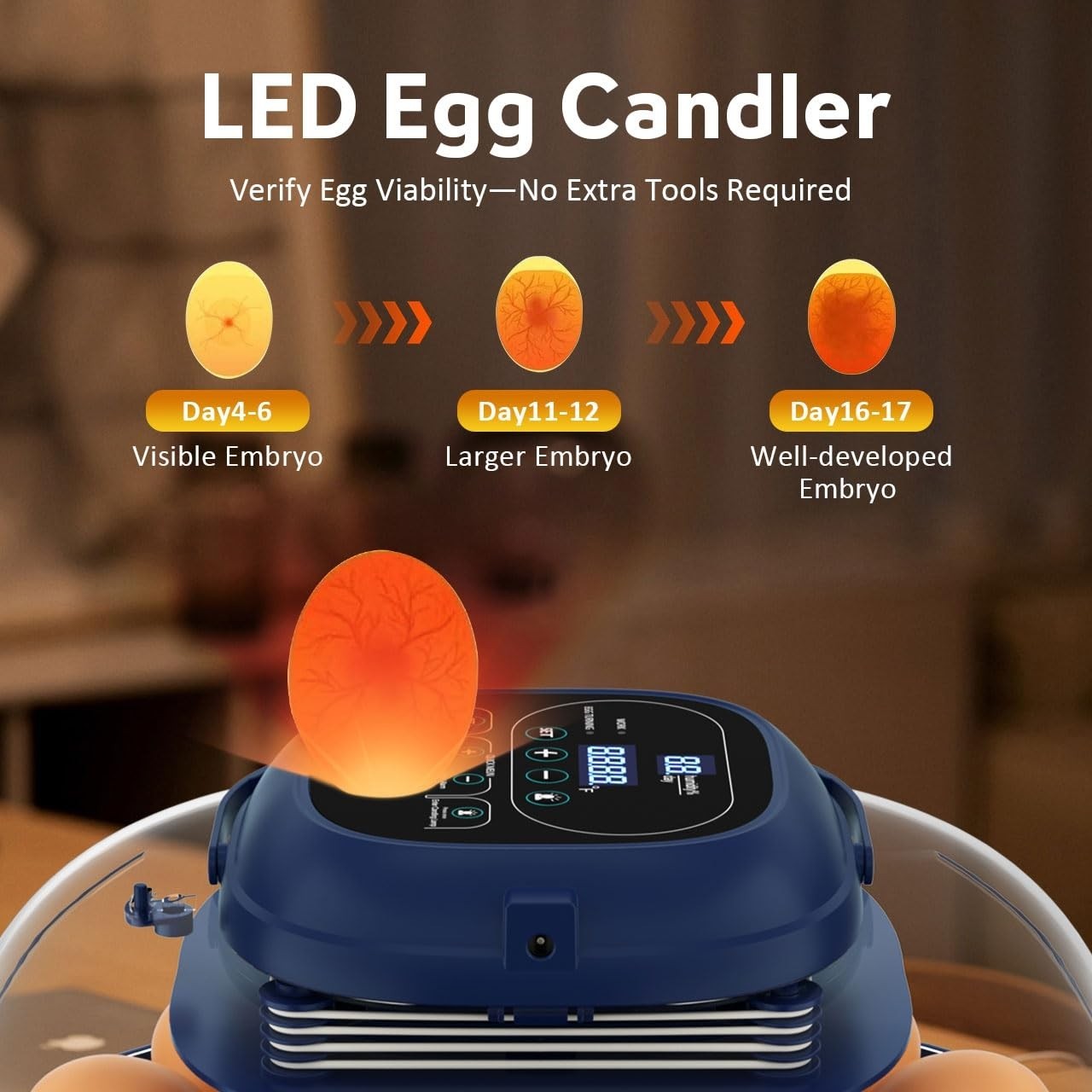18 Egg Incubator with Auto Turning, Digital Temp & Humidity Control, Egg Candler