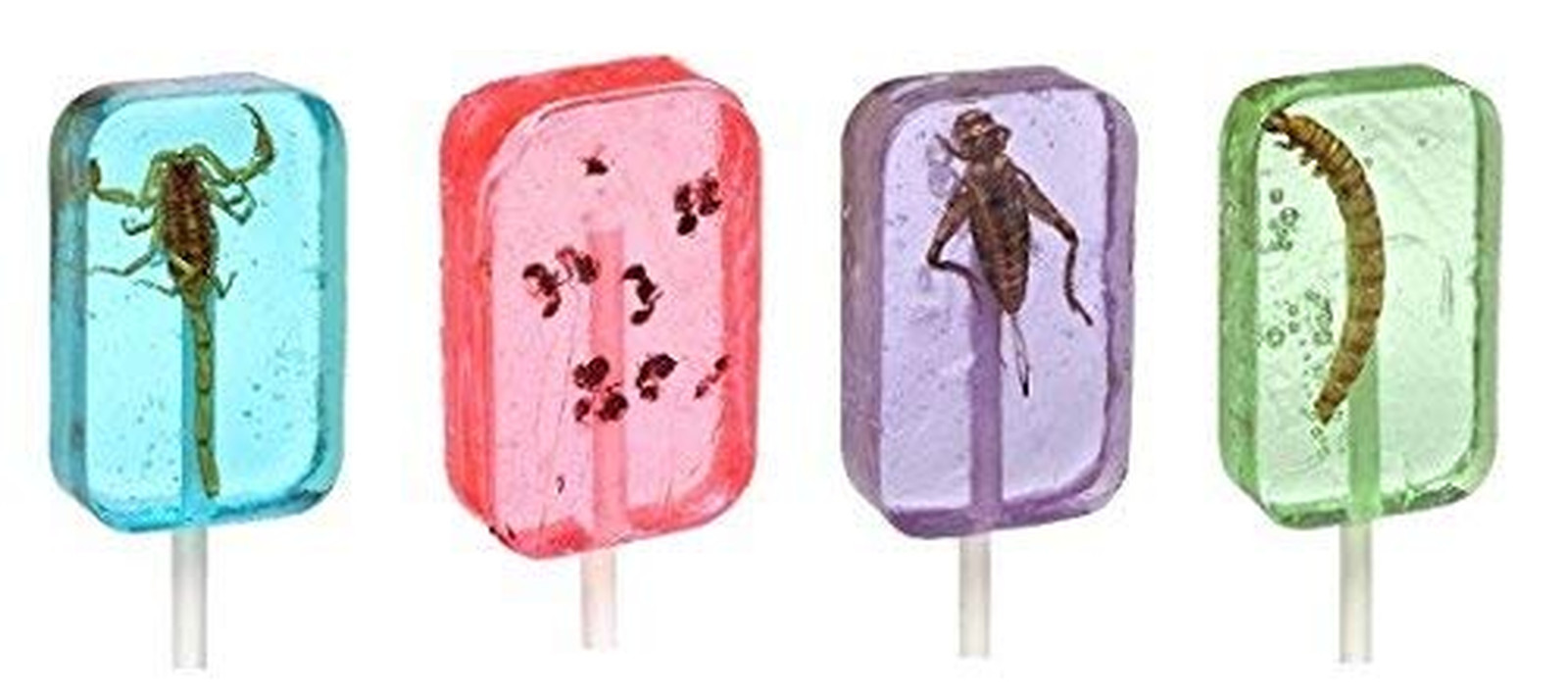 Insect Sucker Lollipop Bundle - Pack of 4 - Scorpion, Ants, Cricket, and Worm -