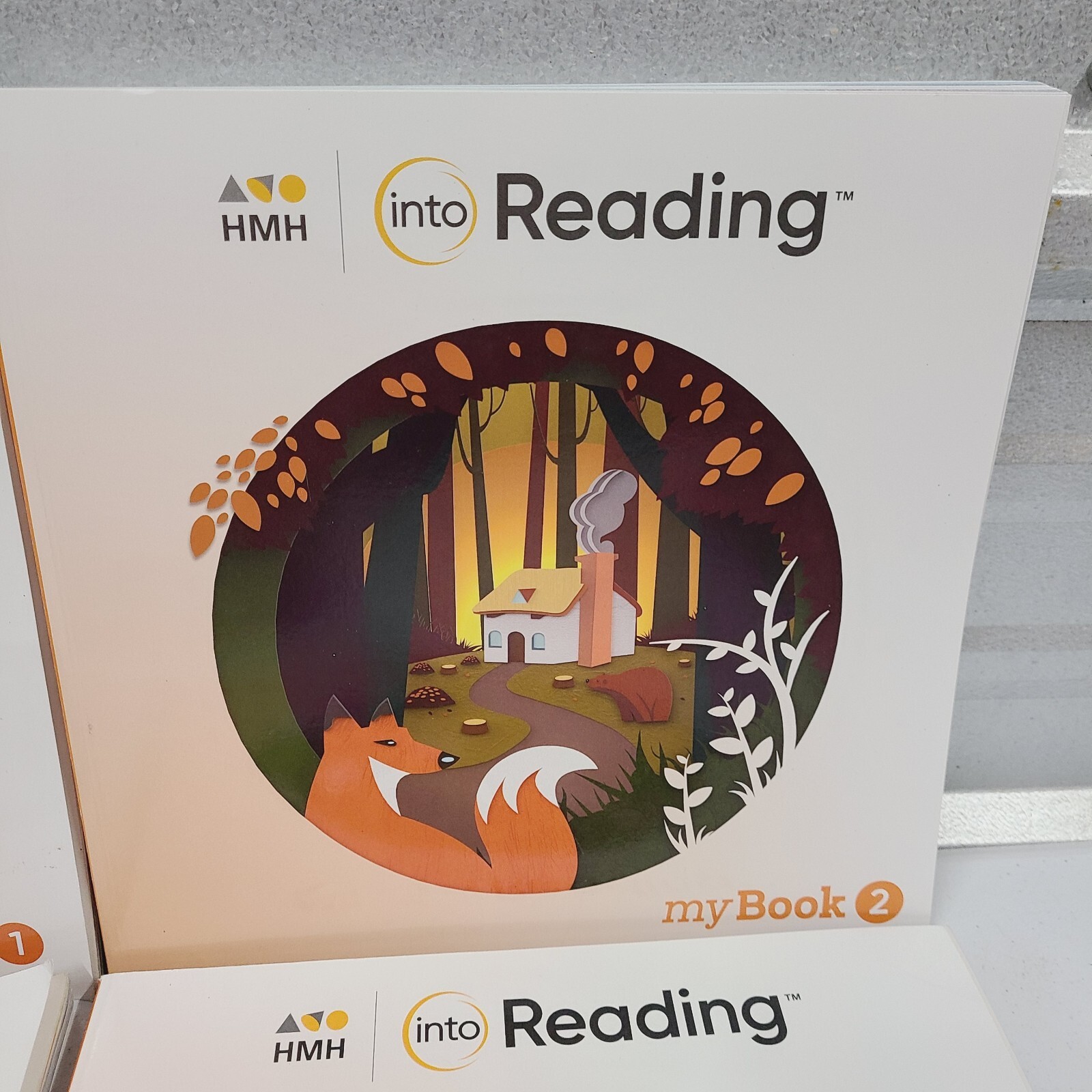 myBook HMH Into Reading Grade 2 Practice Workbook Text - Books 1-5, my book 2nd