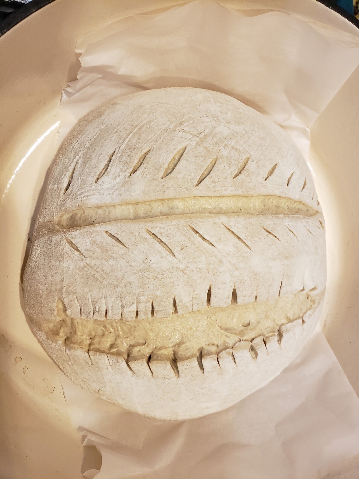 Organic DEHYDRATED SOURDOUGH STARTER