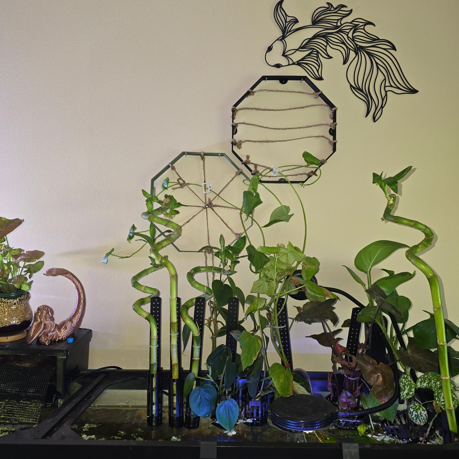 Lucky Bamboo Aquarium Holder Set Aquaponic Hydroponic Fish Tank Planter 3D Print
