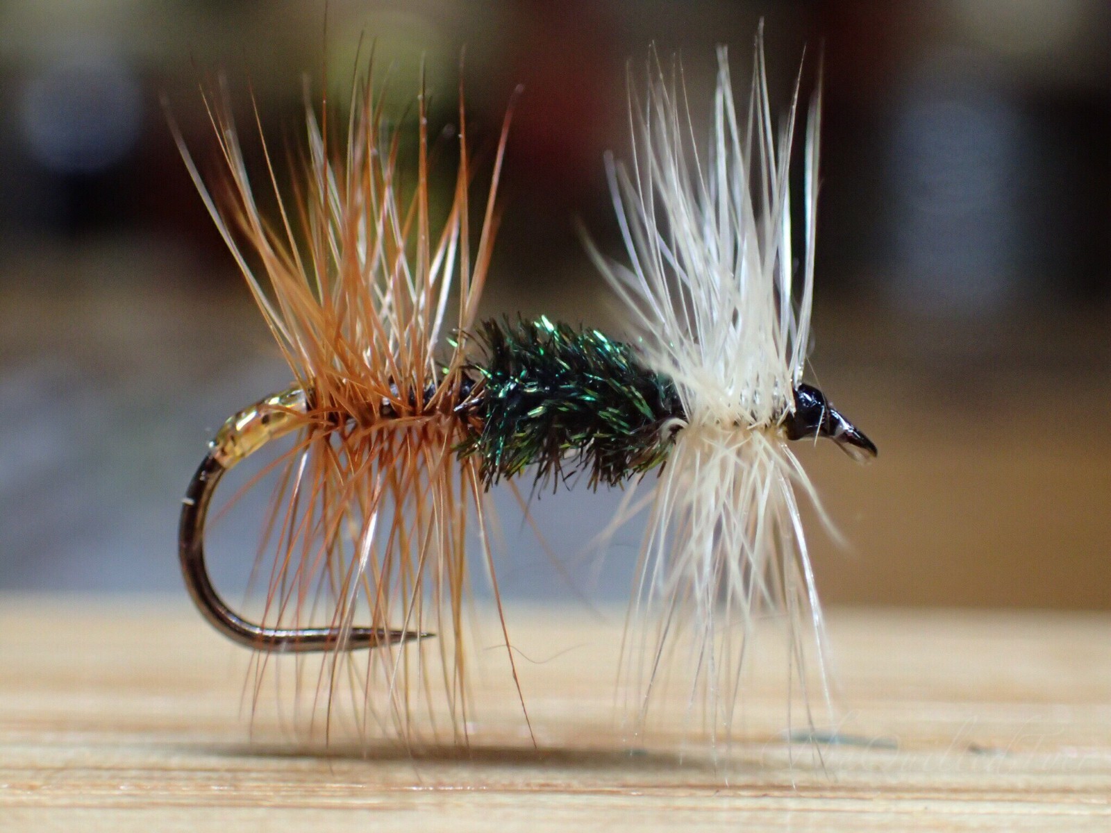1/2 Dozen Renegade Dry Flies