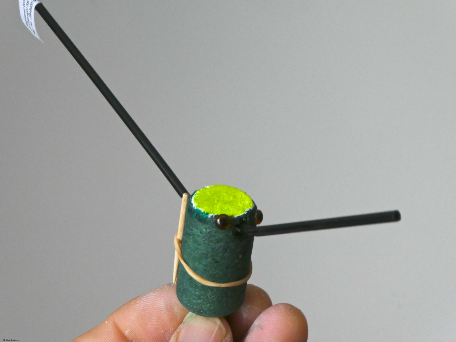 Carp Float Fishing float for carp that wards off birds. Surface bait presenter.