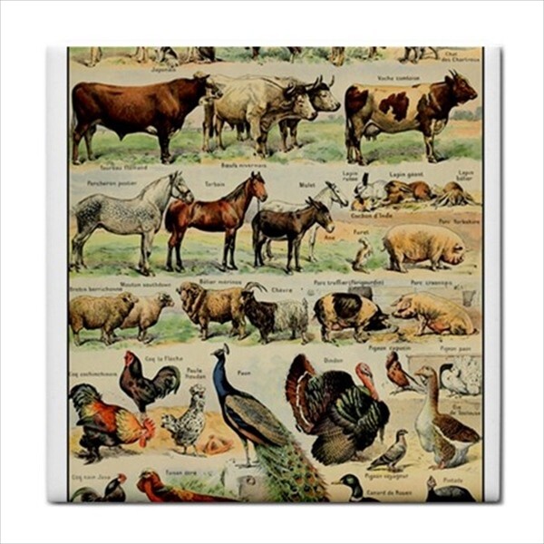 Farm Animals Livestock Vintage Style Art Border Backsplash Ceramic Craft Tile