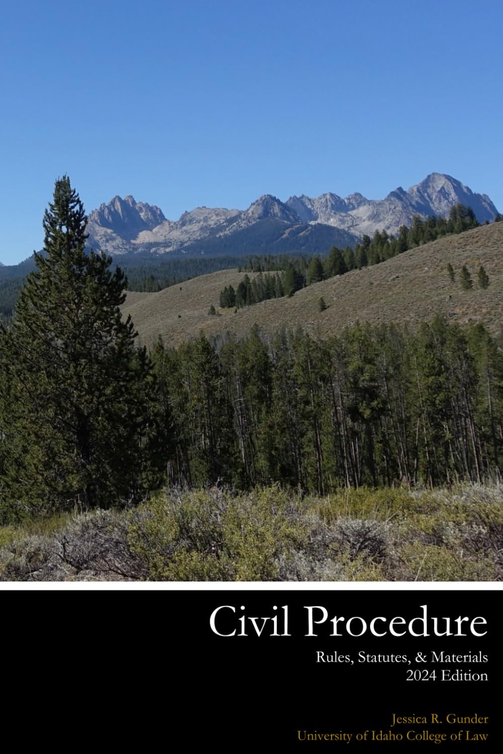 Civil Procedure Rules, Statutes, & Materials