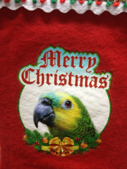 SALE!  Blue Fronted Amazon Parrot Exotic Bird Holiday Christmas Stockings