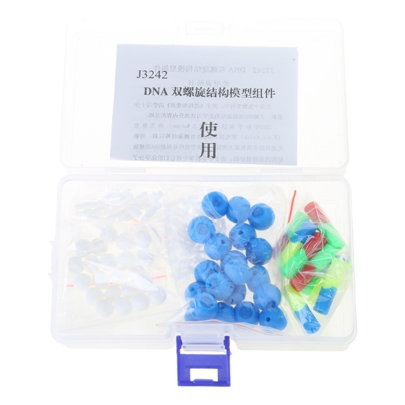 Double Helix DNA Models Set DNA Genetic Structure Models for Teaching