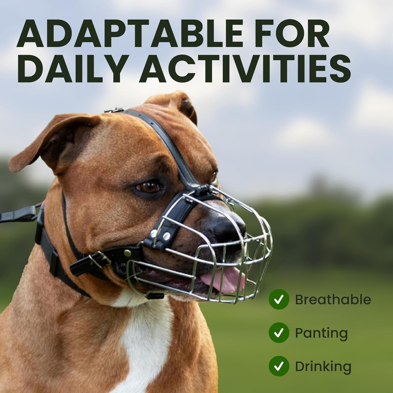 Adjustable Dog Muzzle for Pitbulls & Amstaff - Safe & Breathable Design