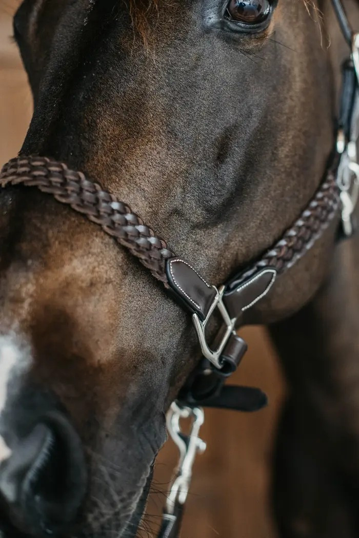 Dion WO Plaited Leather Halter