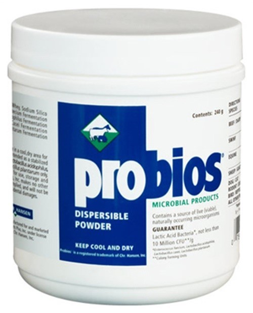 Animal Health International 21263335 Probios Probiotic Supplement 240 g