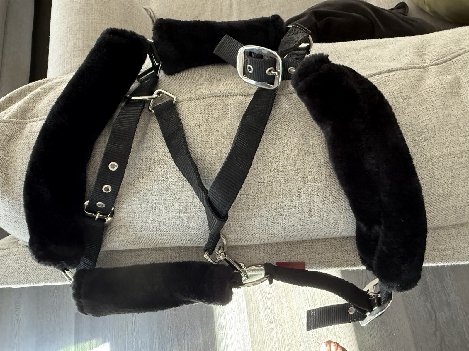 Equestrian halter