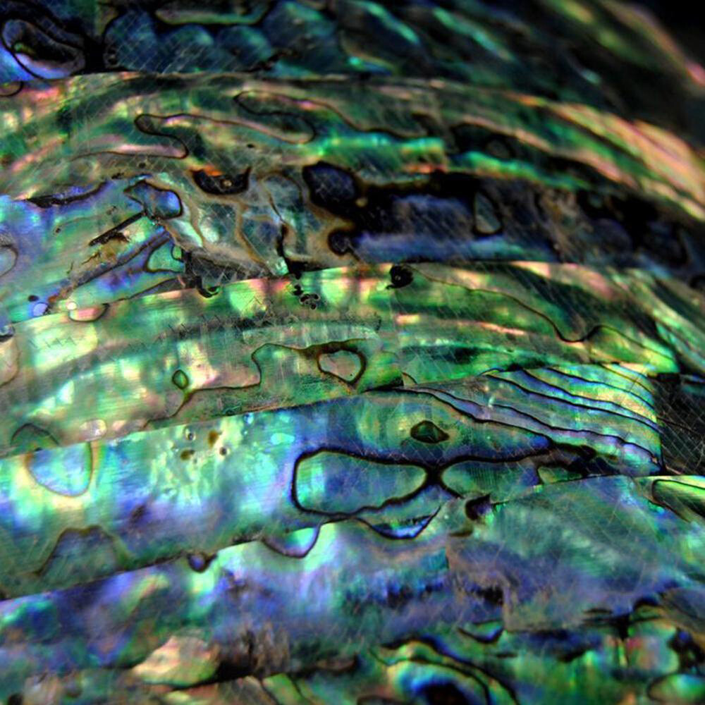 Abalone Shell Knife Handle Acrylic Scale Slabs DIY Making Knives Plate USA NEW