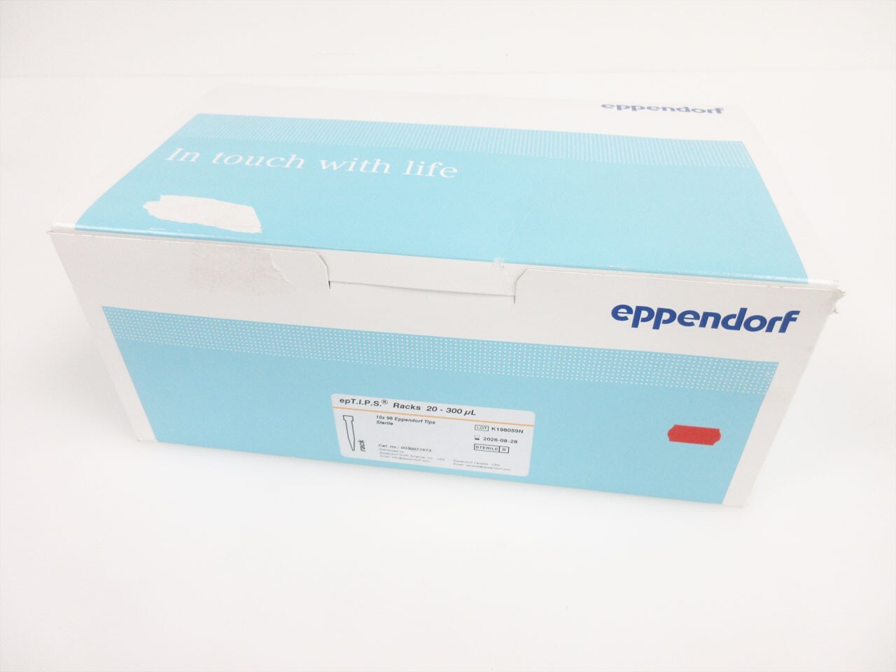 BOX 960 PIPETTE TIPS EPPENDORF 0030 071.573 ep T.I.P.S. RACKS 300 uL 0030071573