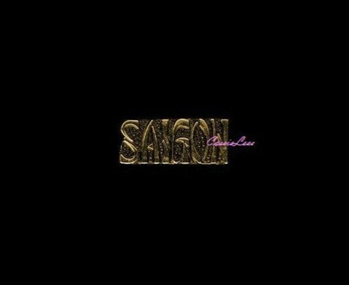 VN SAIGON  + a custom promo pin