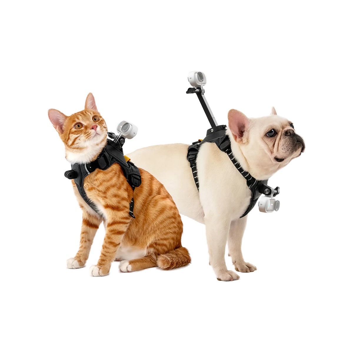 Insta360 Pet Harness Mount for Action Camera, Small