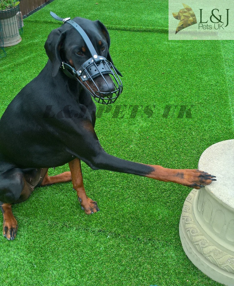 Strong Metal  Rubber coated Wire Basket Dog Muzzle for Doberman Malinois  other