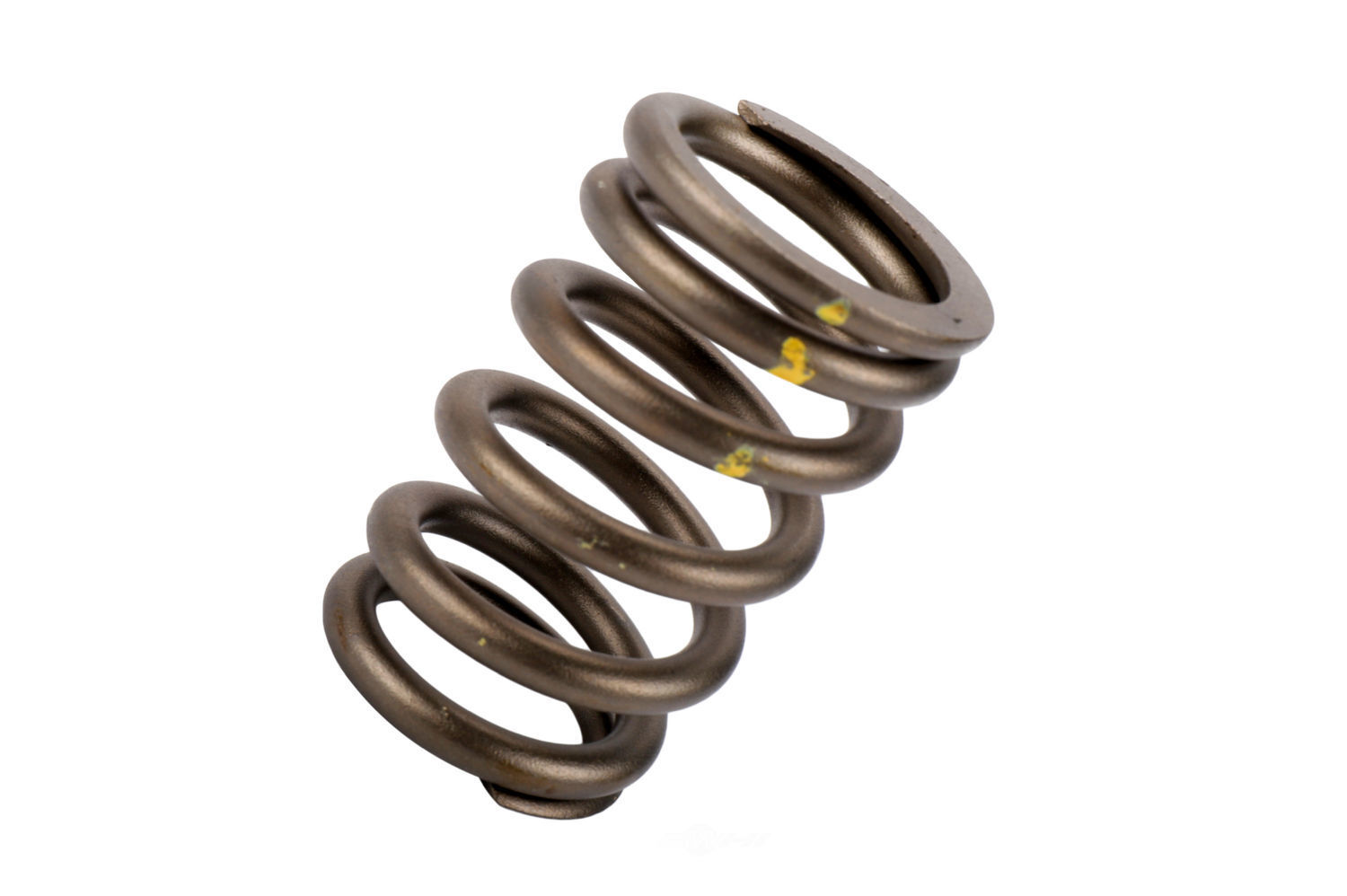 Genuine GM Engine Valve Spring 12565763