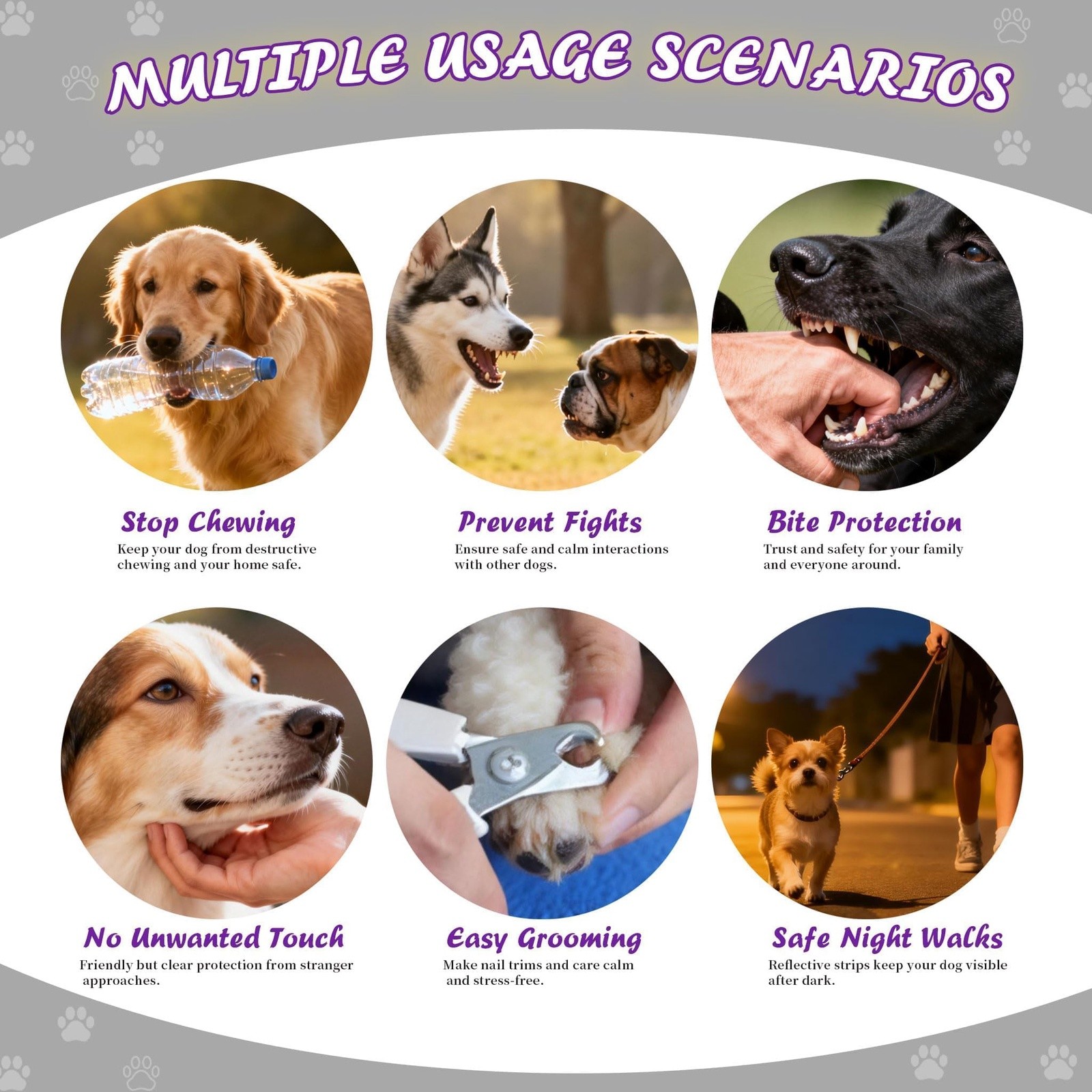 FestiVex Dog Muzzle Set XS-XXL