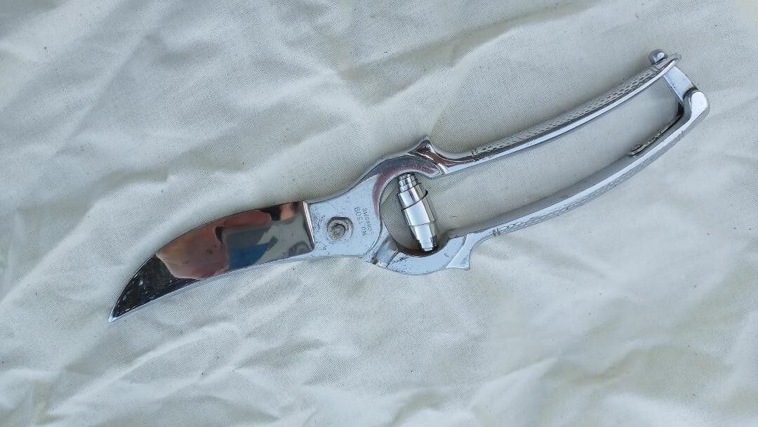 Wiss Germany #1309 Chrome Poultry Shears with Toggle Lock 9"