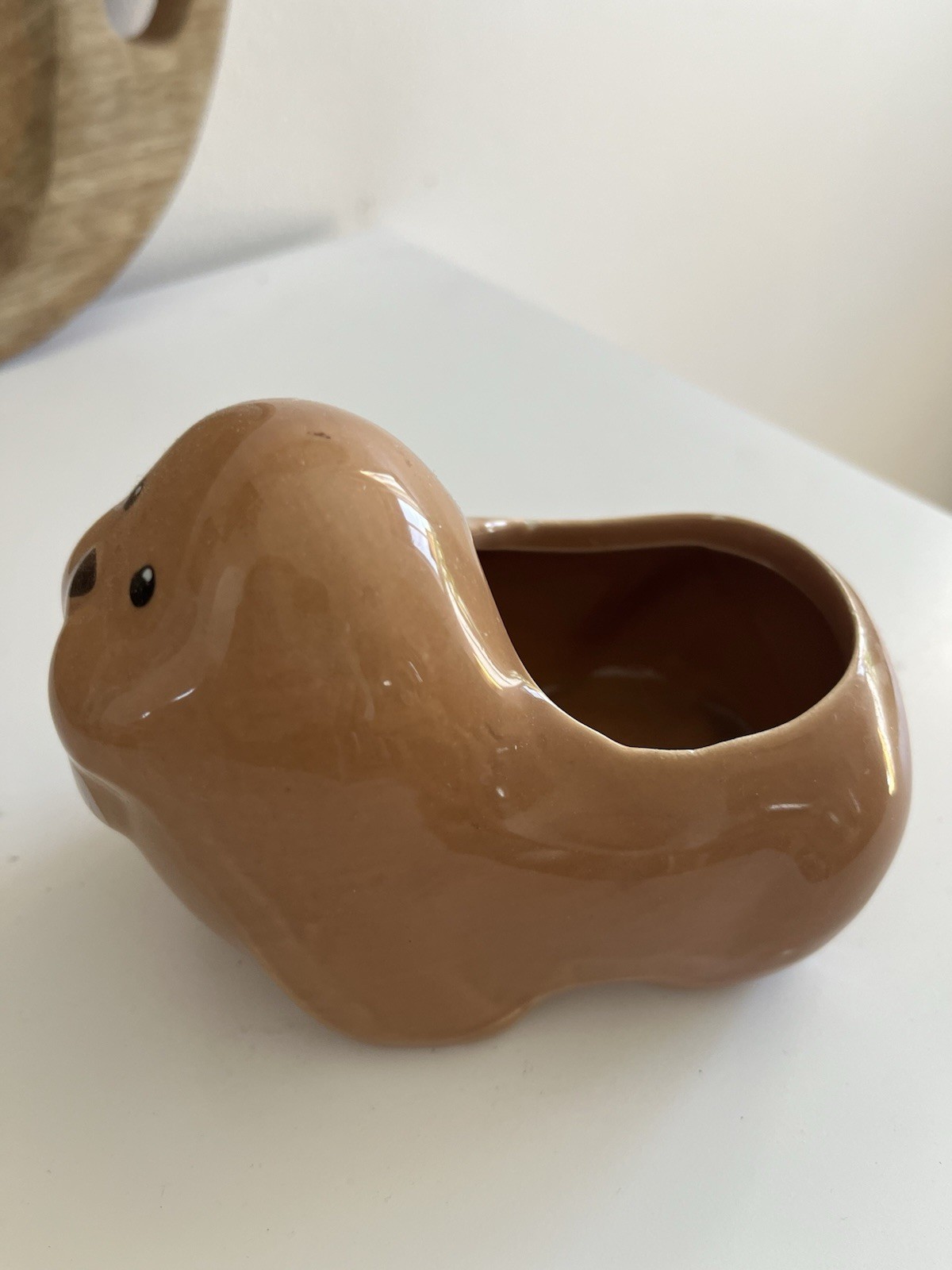 Walrus Planter