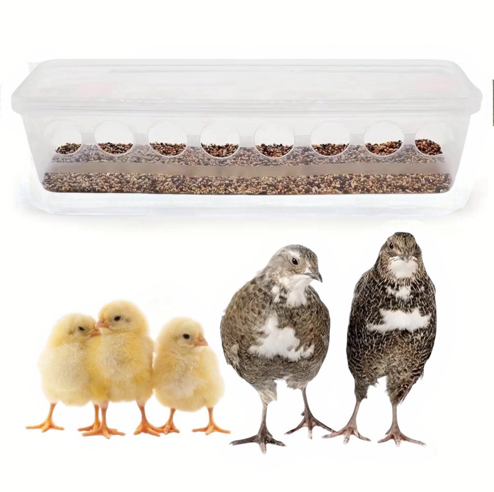 8-Hole Plastic Feeder For Quail Pigeons Chicks Flip-Cover Heavy Duty In/Outdoor