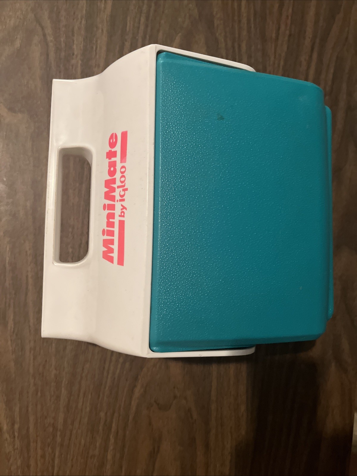 Mini Mate Igloo Cooler