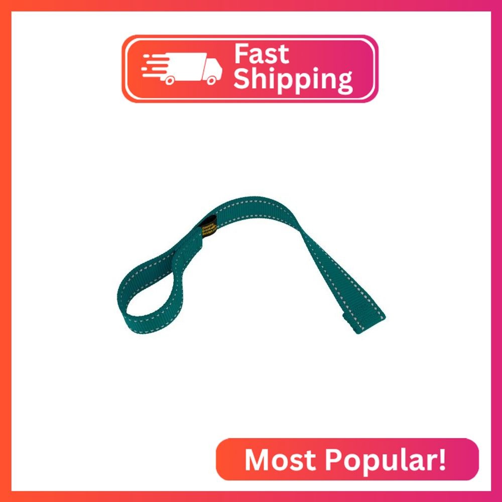 Country Brook Design - 1 Inch Winch Hook Pull Strap with Reflective Nylon - Teal