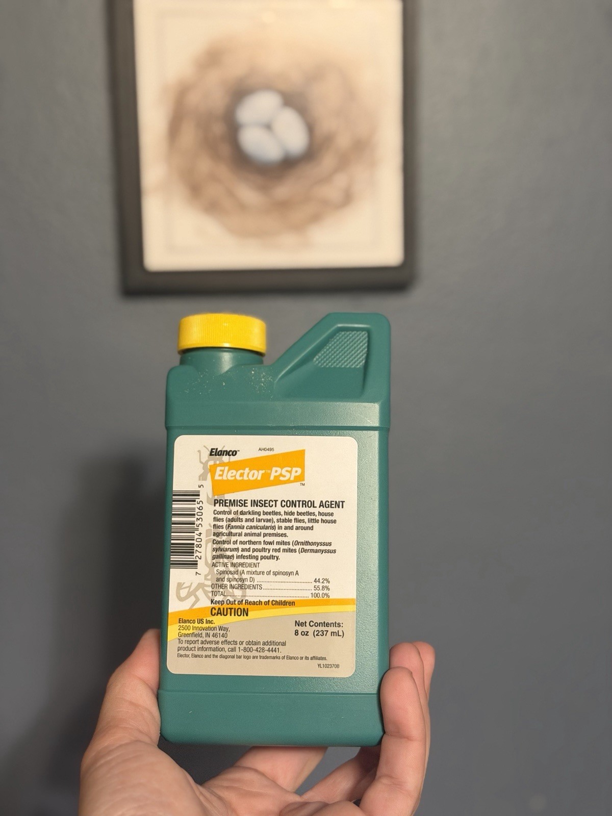 Spray For Bugs And Mites On Chickens