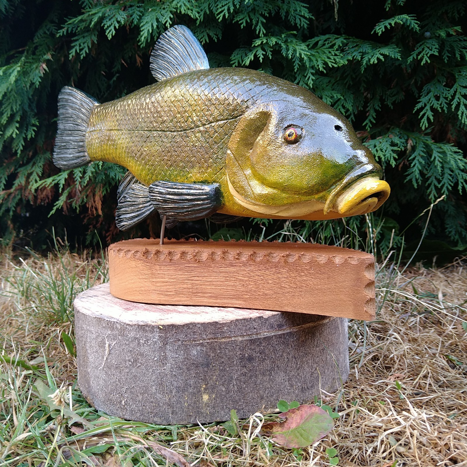 Tench Fishing , fish