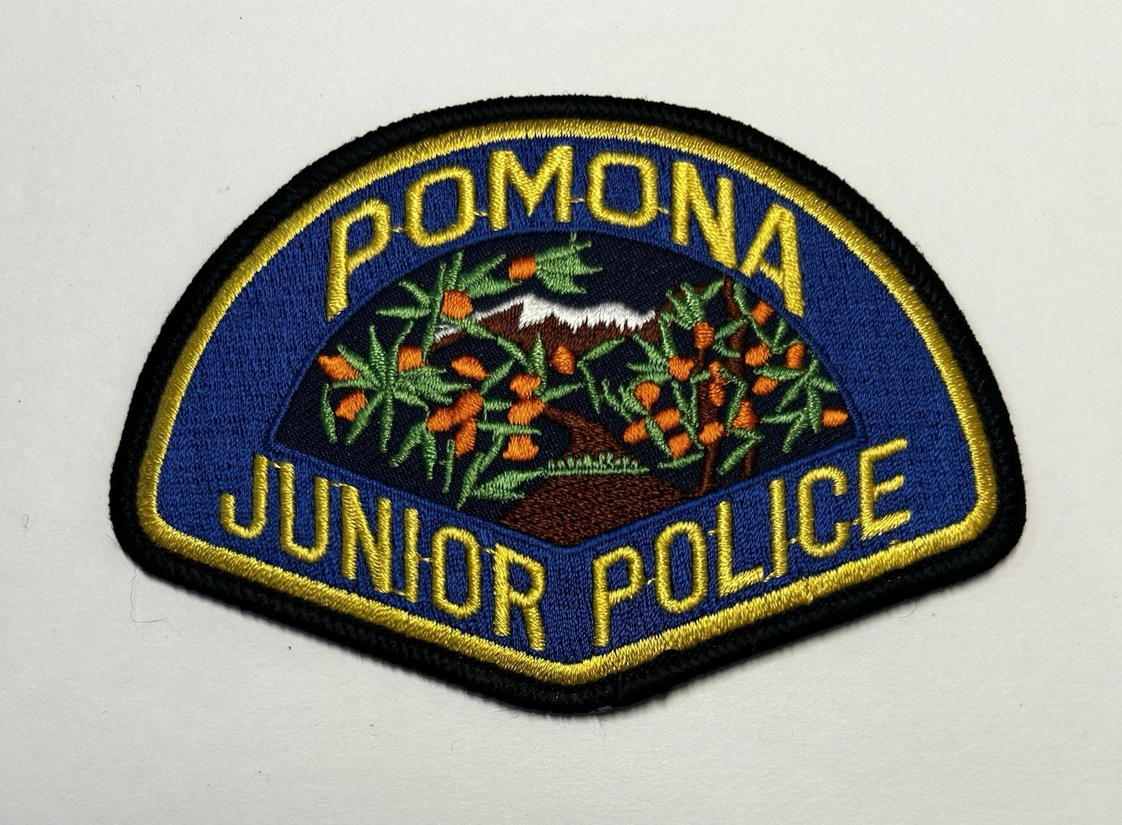 CALIFORNIA CA POMONA JUNIOR POLICE DEPT PATCH LOS ANGELES COUNTY #PDD15