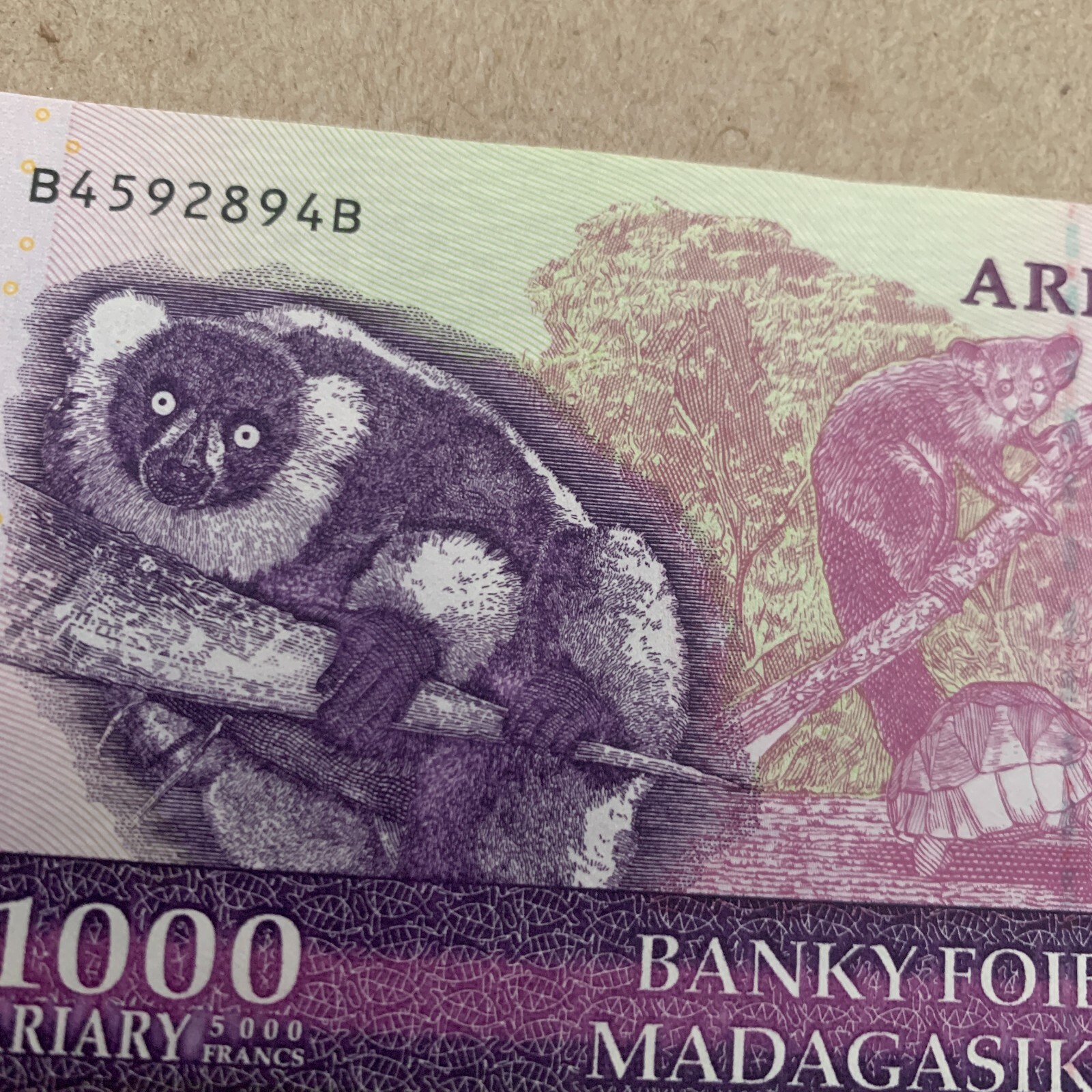 Lemur Note 1000 Ariary Banknote 2004 Animal Currency Purple Paper Money