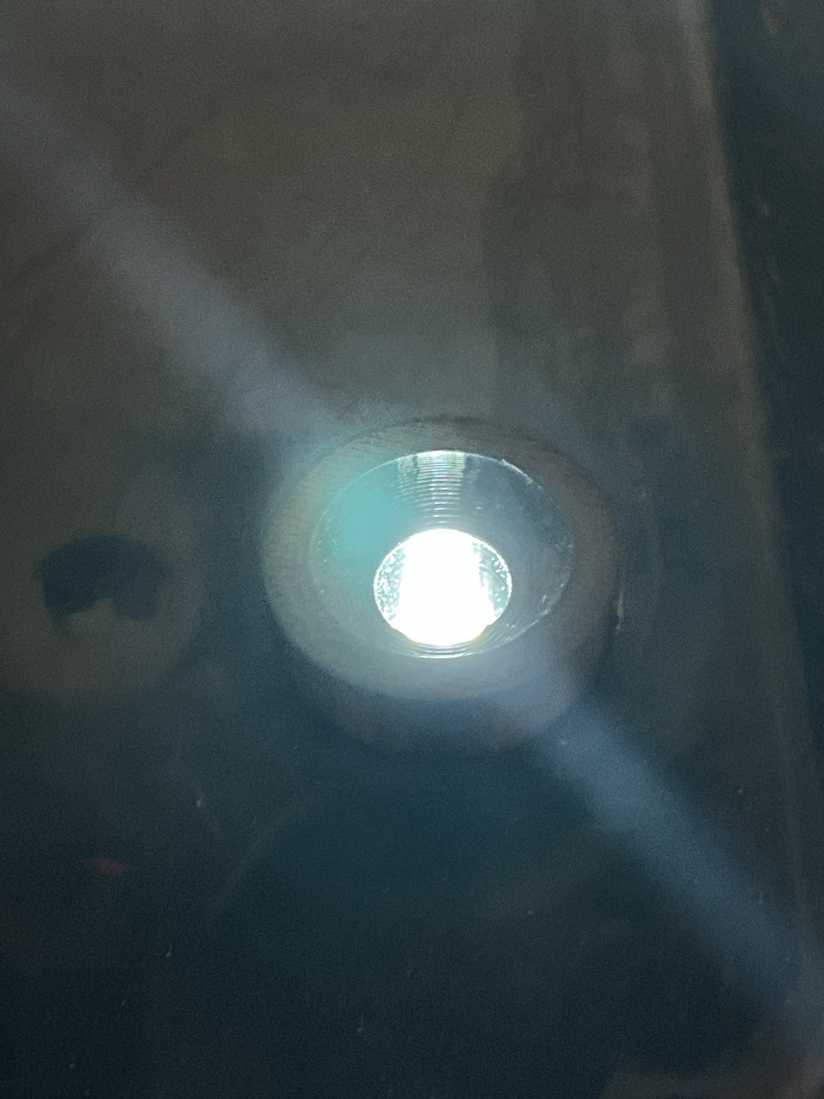 3D Printed Button Quail Egg Adapter For Built-in Brooder Incubator Candler Light