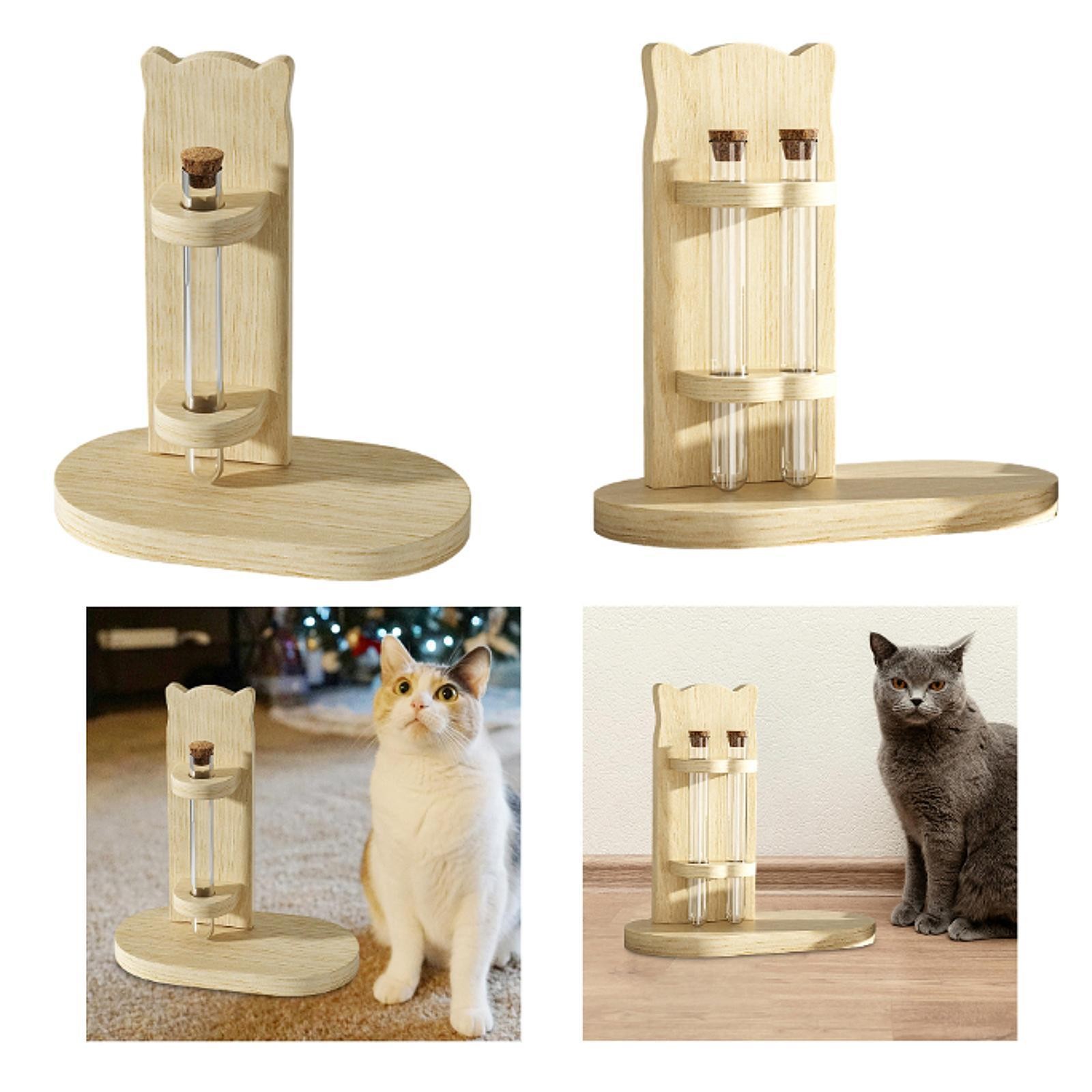 Cat Whiskers Beard Storage Cat Whisker Storage Box Ornaments Wood Gift Pet Hair