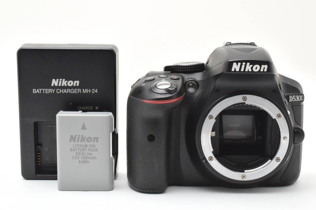 Nikon D5300 w/ 14296 shots 478125