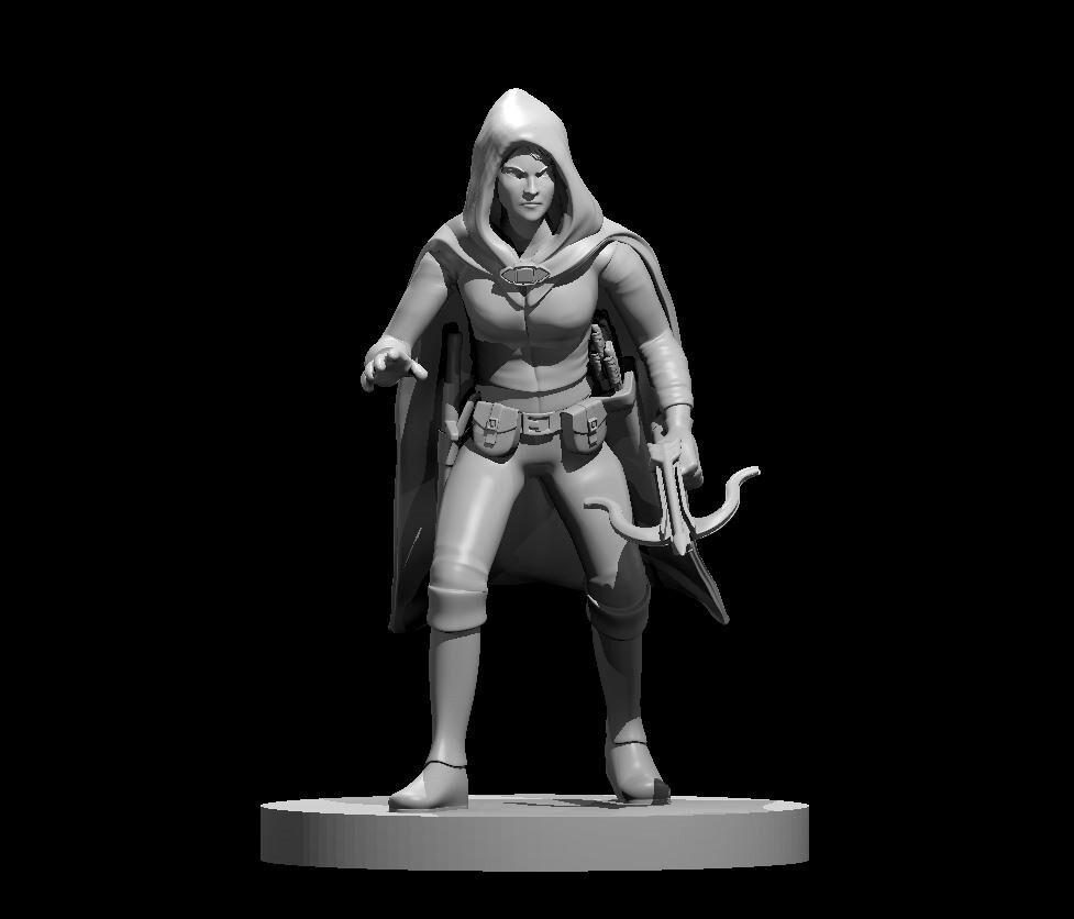 Half Elf Female Rogue V2 28mm Scale DND D&D Tabletop Miniature