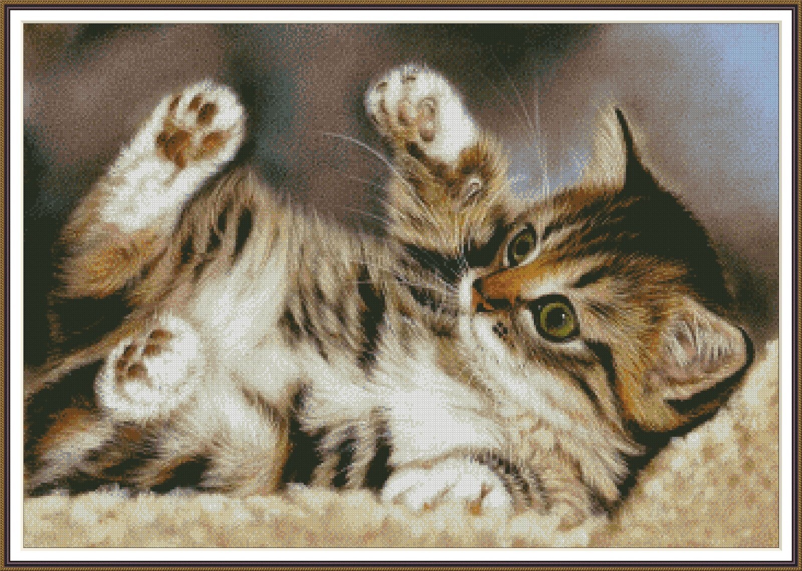 Day-Dreamer kitten 79 - Chart Counted Cross Stitch Pattern Needlework