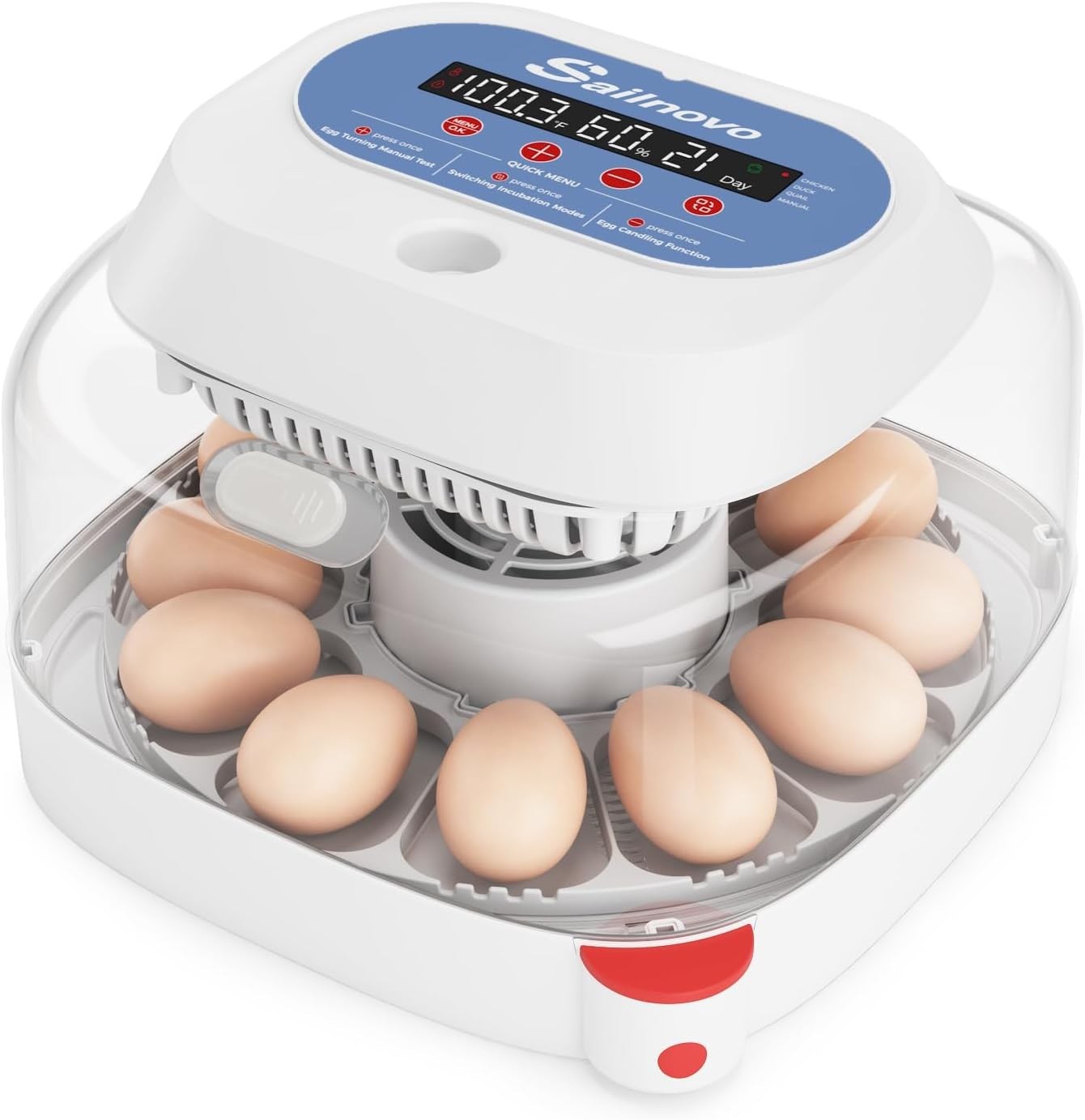 12 Egg Incubator with Automatic Egg Turning & Temperature Control | Manual & Pr