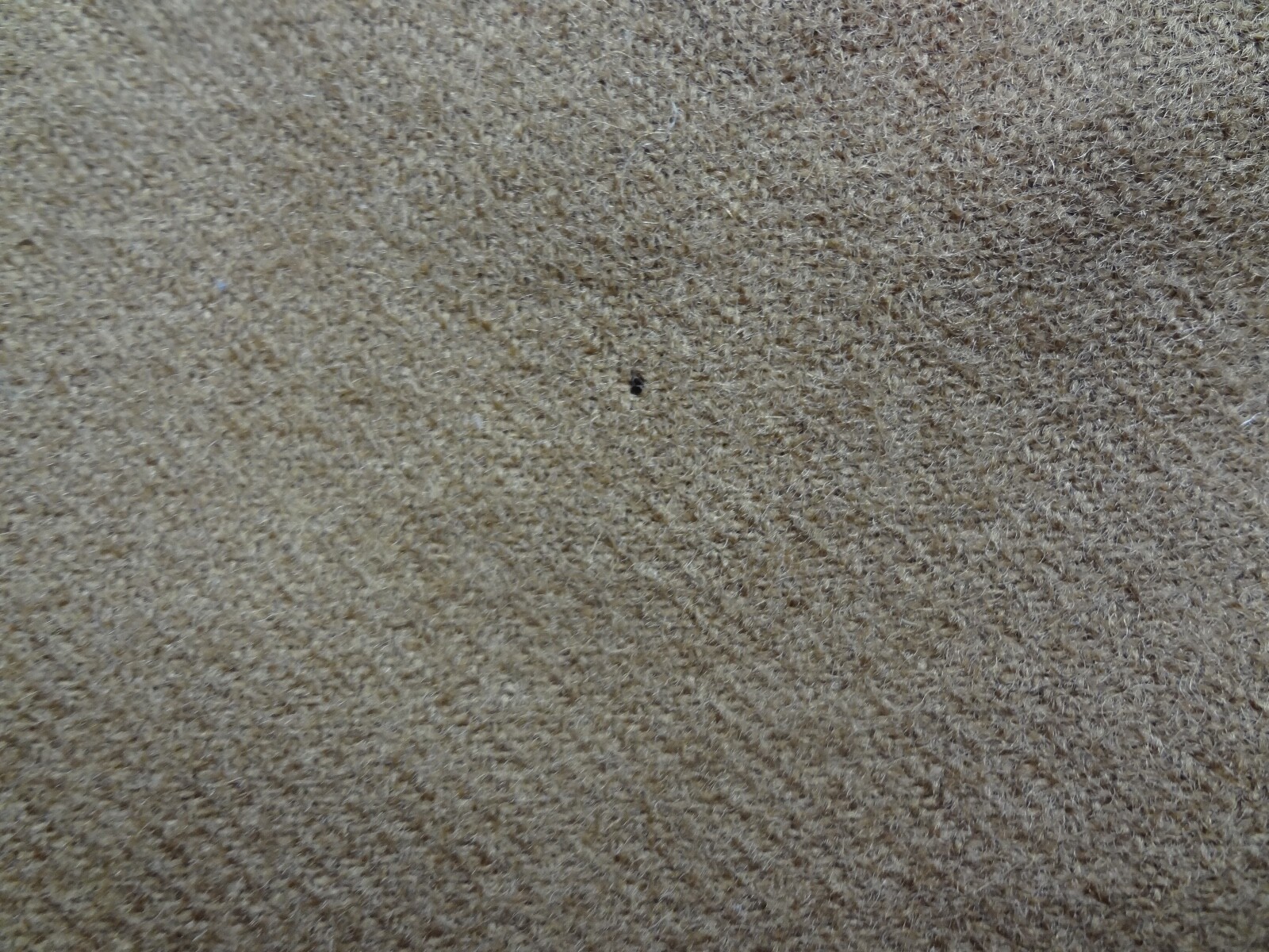Trussardi Wool Blanket (54" x 53")