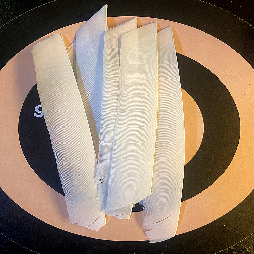 24/50pcs Archery 7-10in Turkey Feathers RW White Fletches Wooden Carbon Arrows