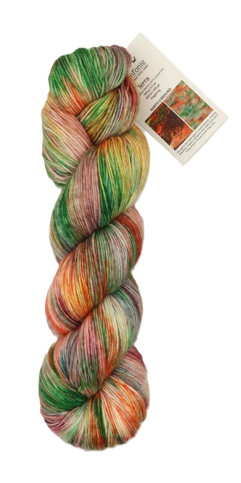 KnitPro Symfonie Merino & Polyamide Sock Yarn| Terra Variegated North Carolina