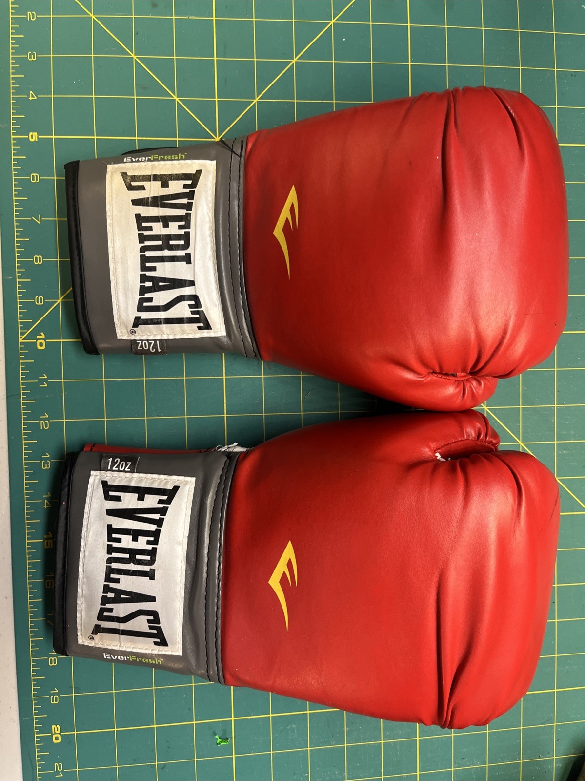 Everlast 1200013 12 oz. Sparring Gloves - Red