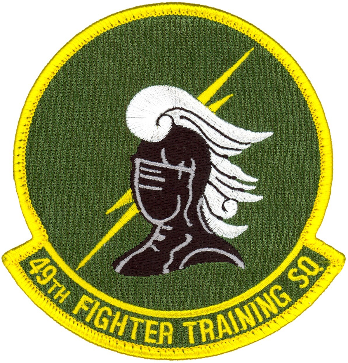 USAF 49th FIGHTER TRAINING SQUADRON PATCH