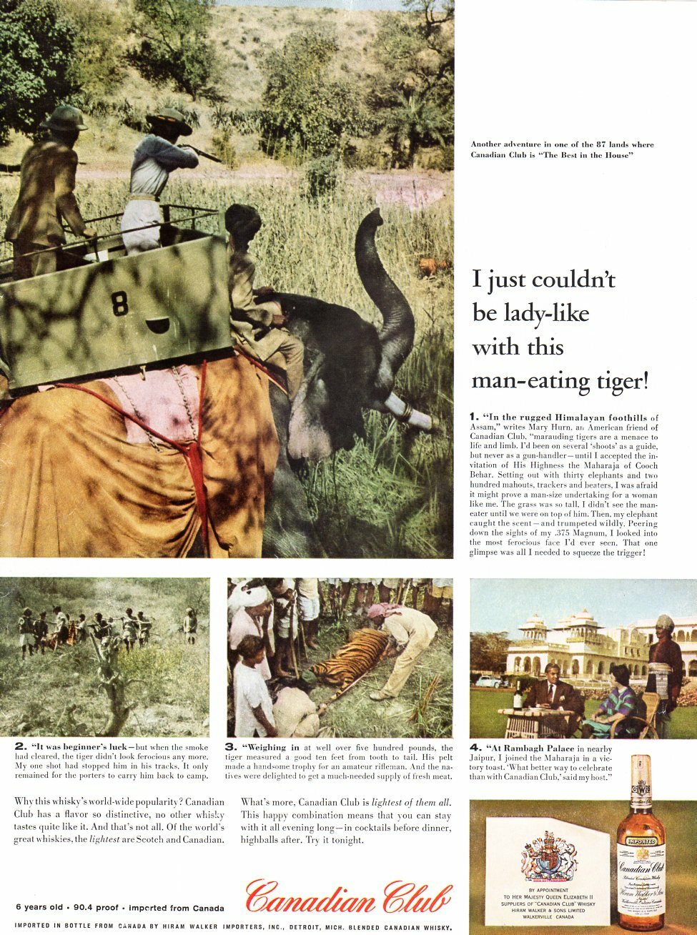 Vintage advertising print Alcohol Canadian Club Himalayan man eating tiger 1960