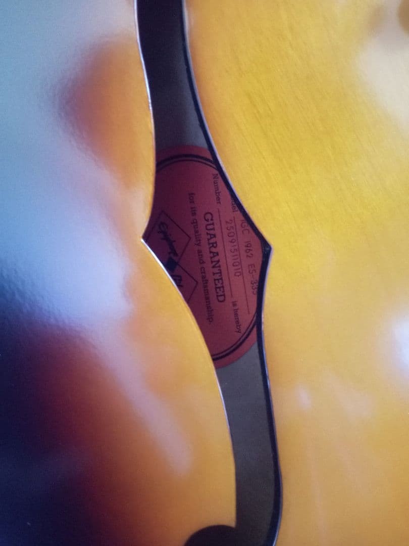 Epiphone Es-335