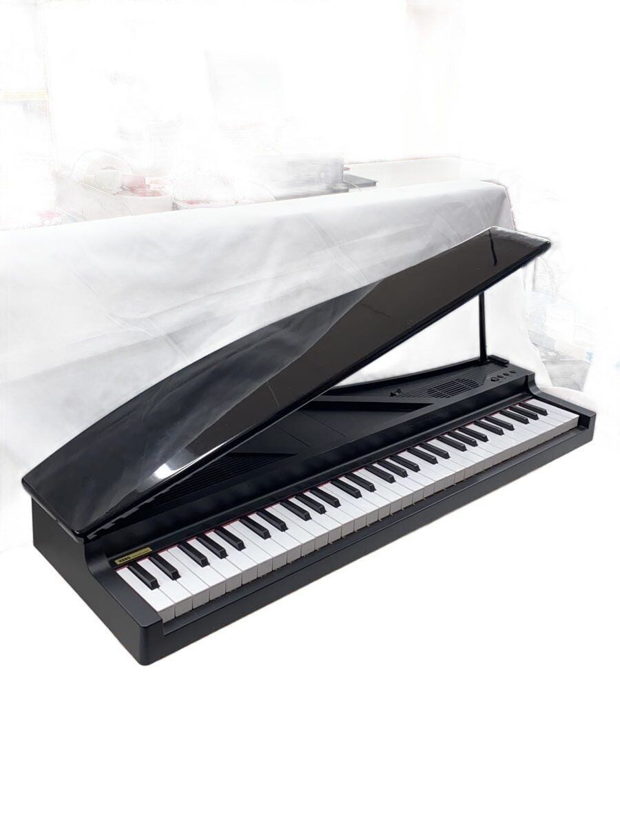 KORG Keypad Instrument Other microPIANO BK Used