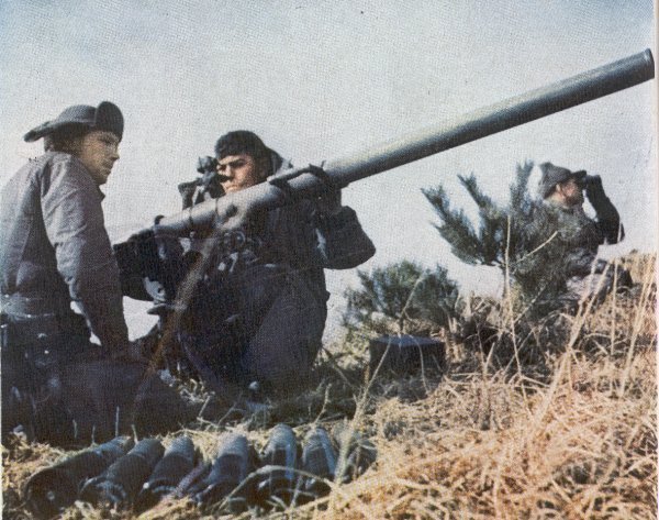 3192 KOREAN WAR IMAGES ON CD ROM A GREAT COLLECTION