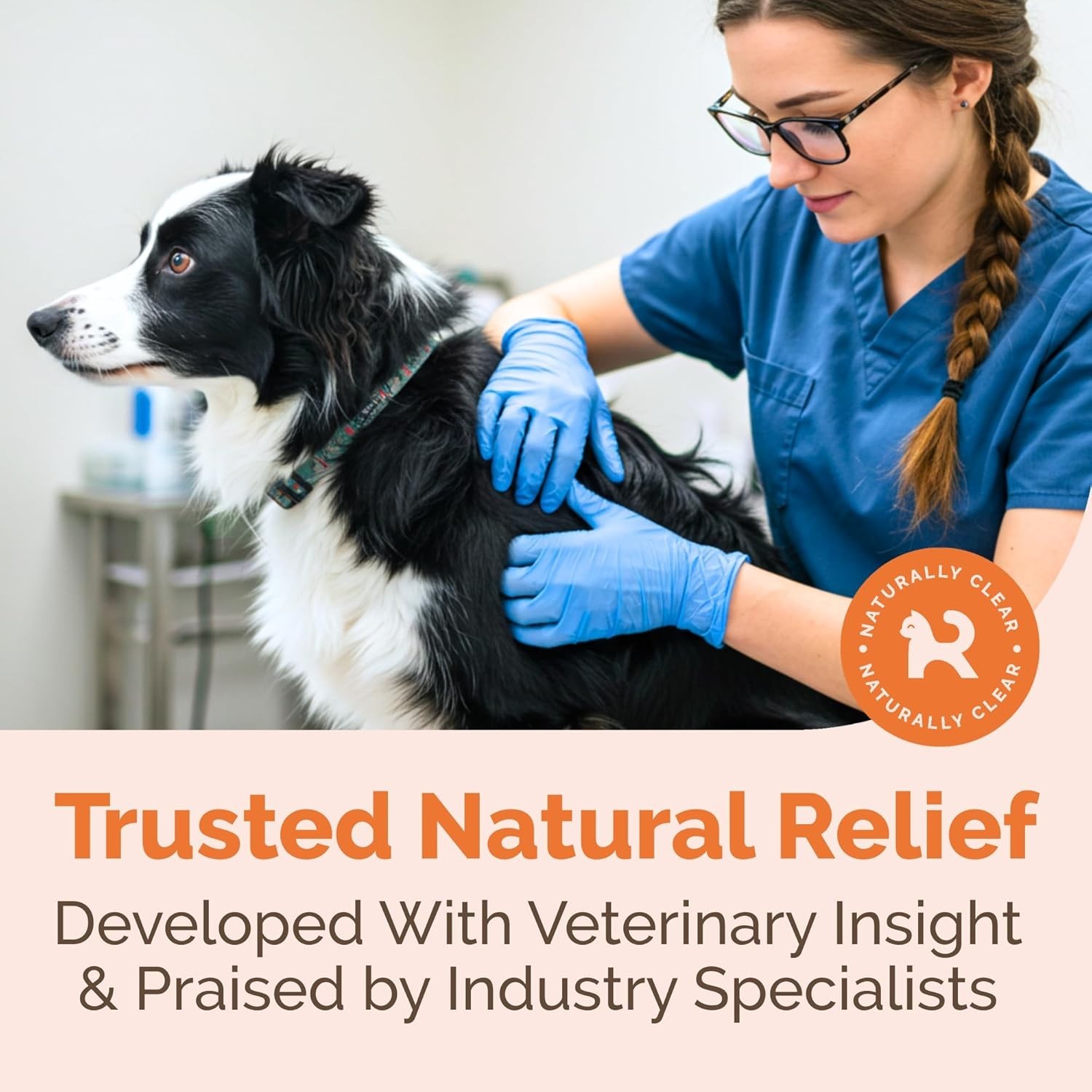 New Hot Spot & Itch Relief Skin Cream 2oz – Dogs & Cats, Natural Colloidal Silve
