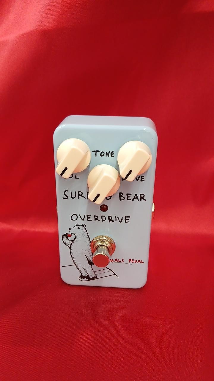Animals Pedal Surfing Bear Overdrive