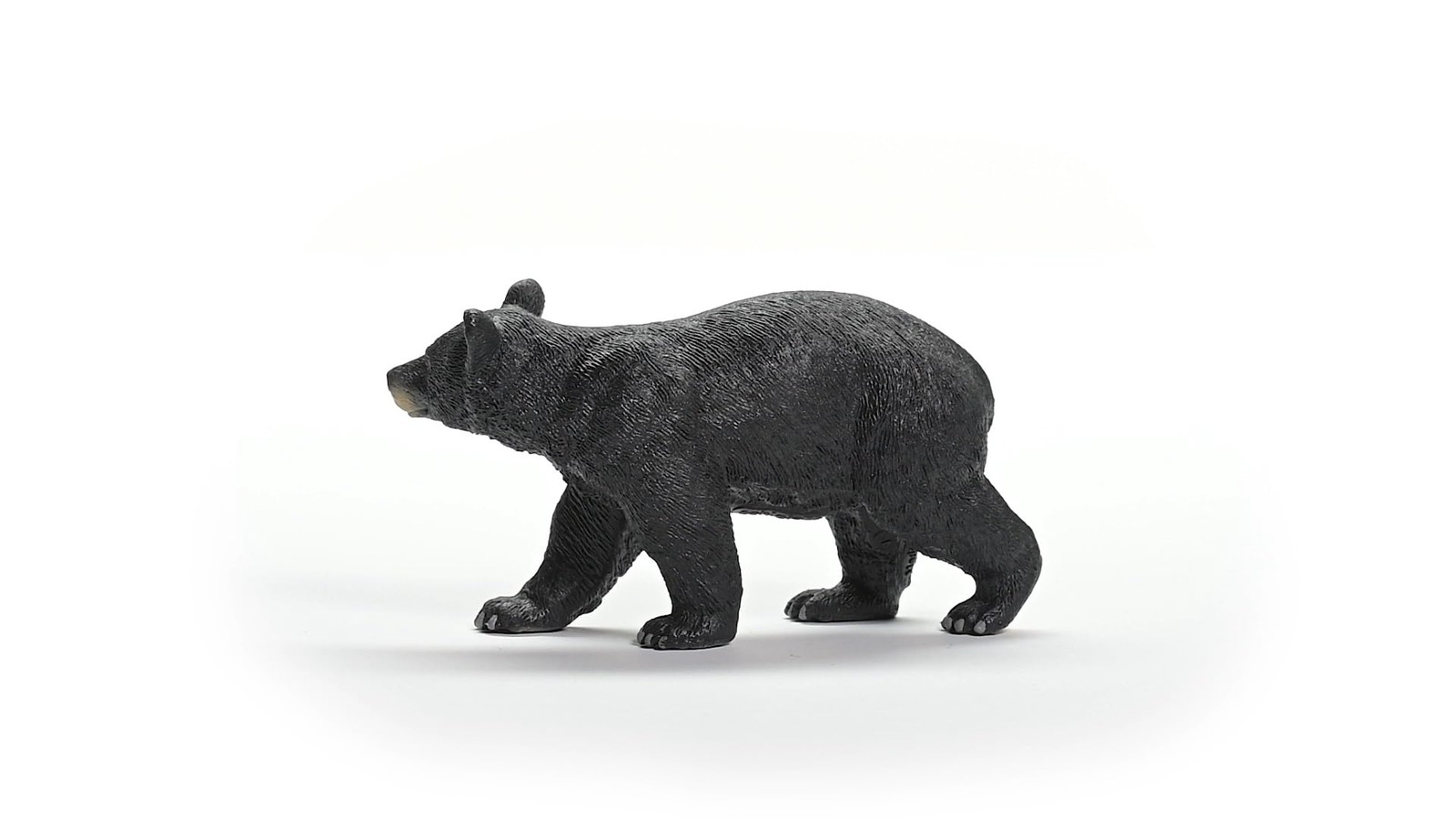 Schleich American Black Bear Toy Figure Wild Life Educational Play for Kids 3+