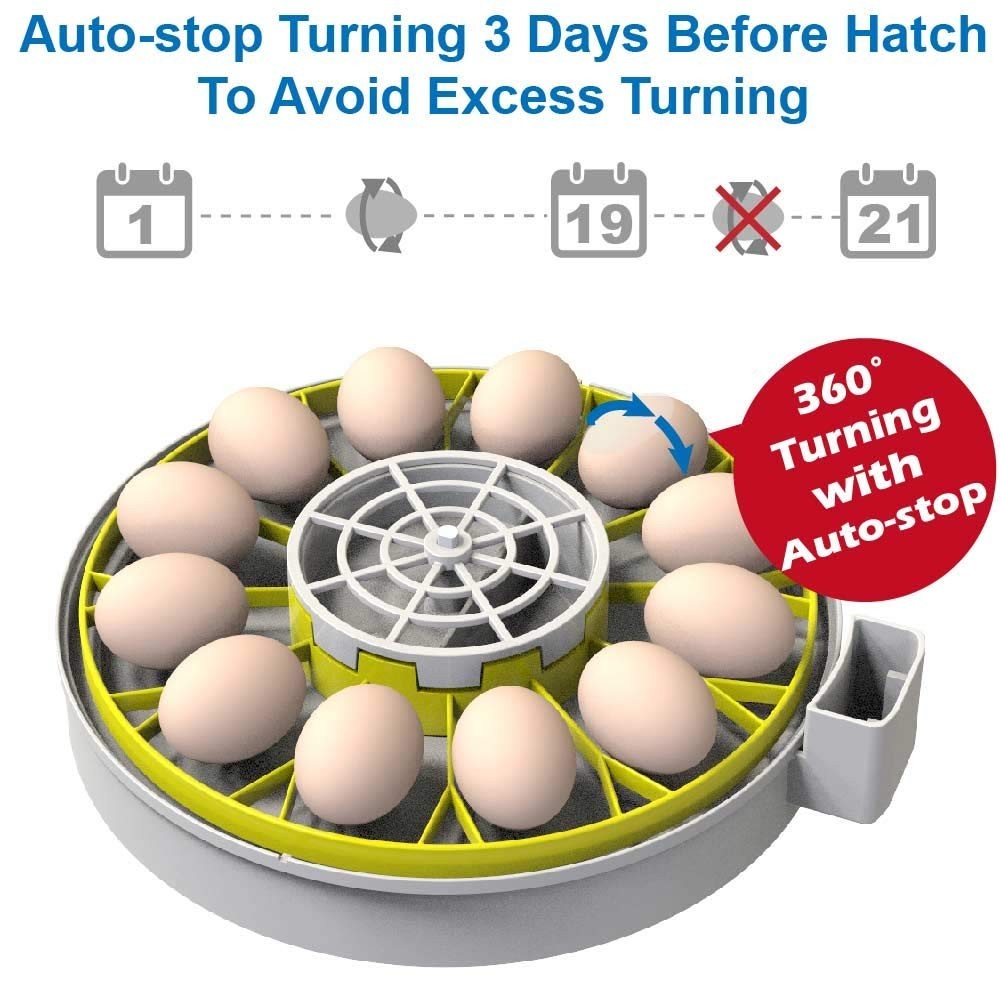 User-Friendly 12 Egg Incubator with Humidity Display & Automatic Timed Turner